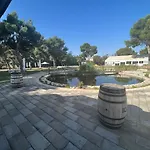 El Cisne מלון
