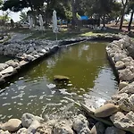 埃尔瑟斯尼酒店 3*