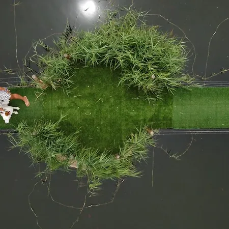 Ξενοδοχείο El Cisne 3*