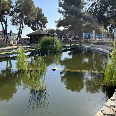 El Cisne Σαραγόσα