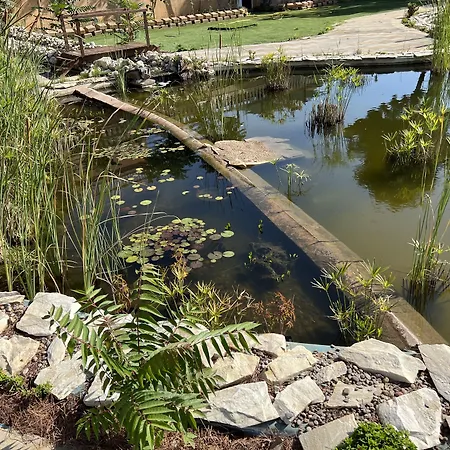 Ξενοδοχείο El Cisne Σαραγόσα