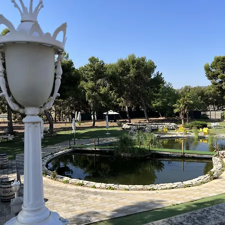 Hotel El Cisne Zaragoza