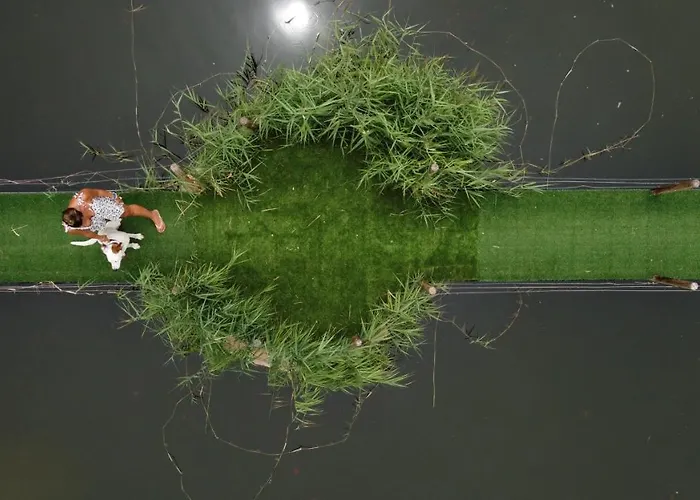 酒店 埃尔瑟斯尼酒店 3*