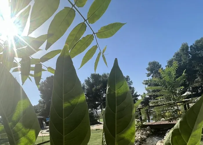 埃尔瑟斯尼酒店 萨拉戈萨