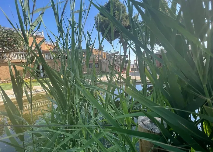 酒店 埃尔瑟斯尼酒店