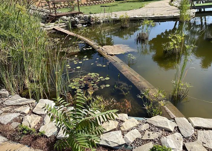 酒店 埃尔瑟斯尼酒店 萨拉戈萨