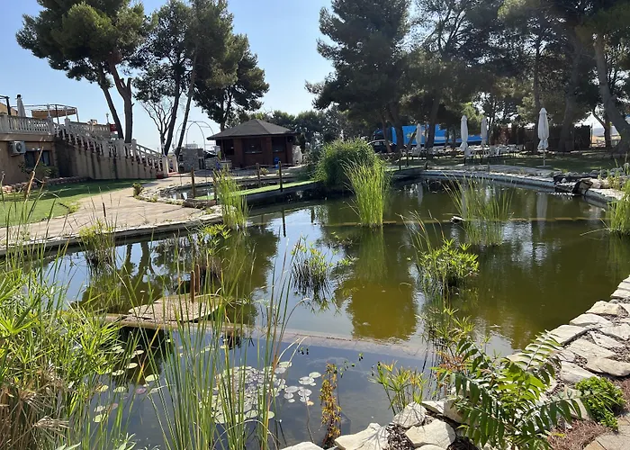 埃尔瑟斯尼酒店 酒店 3*